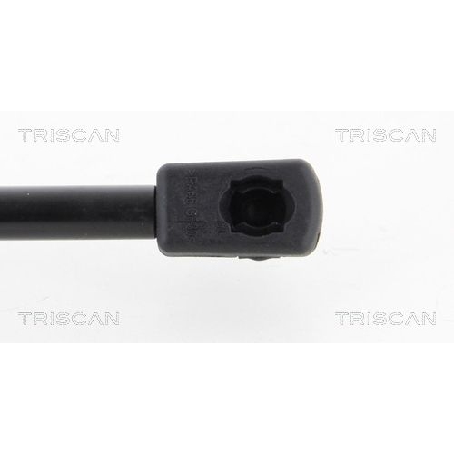 TRISCAN Gasfeder, Koffer-/Laderaum