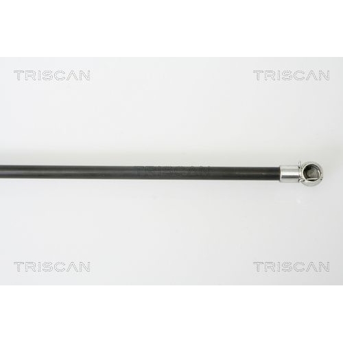TRISCAN Gasfeder, Koffer-/Laderaum