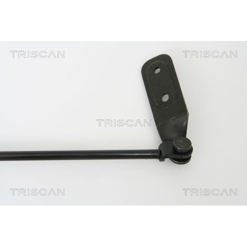 TRISCAN Gasfeder, Koffer-/Laderaum