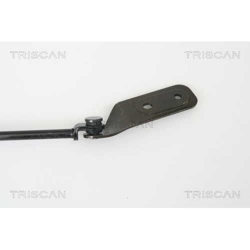 TRISCAN Gasfeder, Koffer-/Laderaum