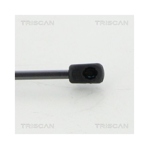 TRISCAN Gasfeder, Koffer-/Laderaum